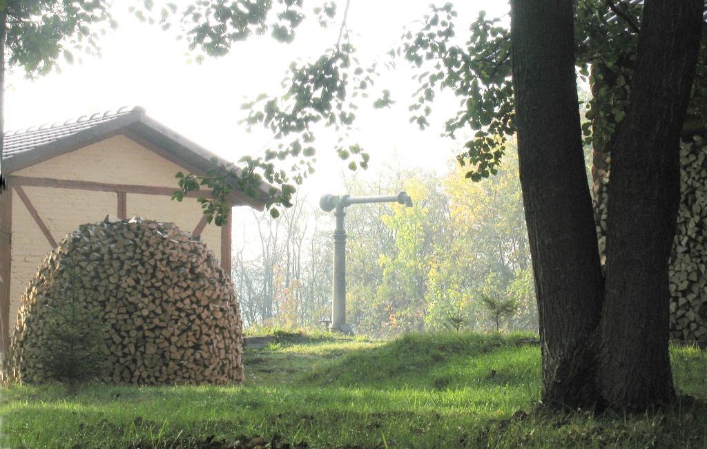 Apartamenty Carskie Bialowieza Exterior foto